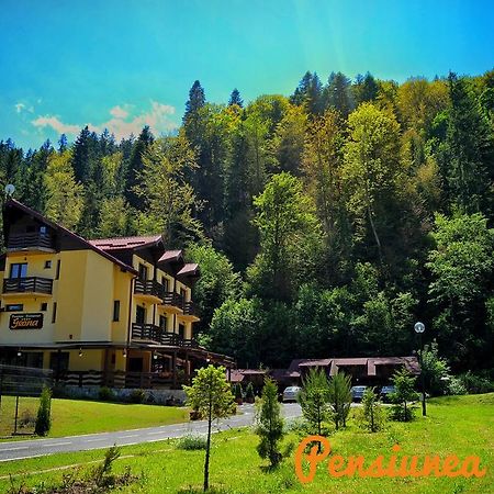 Pensiunea Geona Poiana Teiului Exterior foto