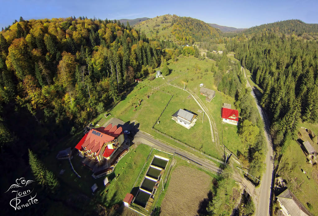 Pensiunea Geona Poiana Teiului Exterior foto