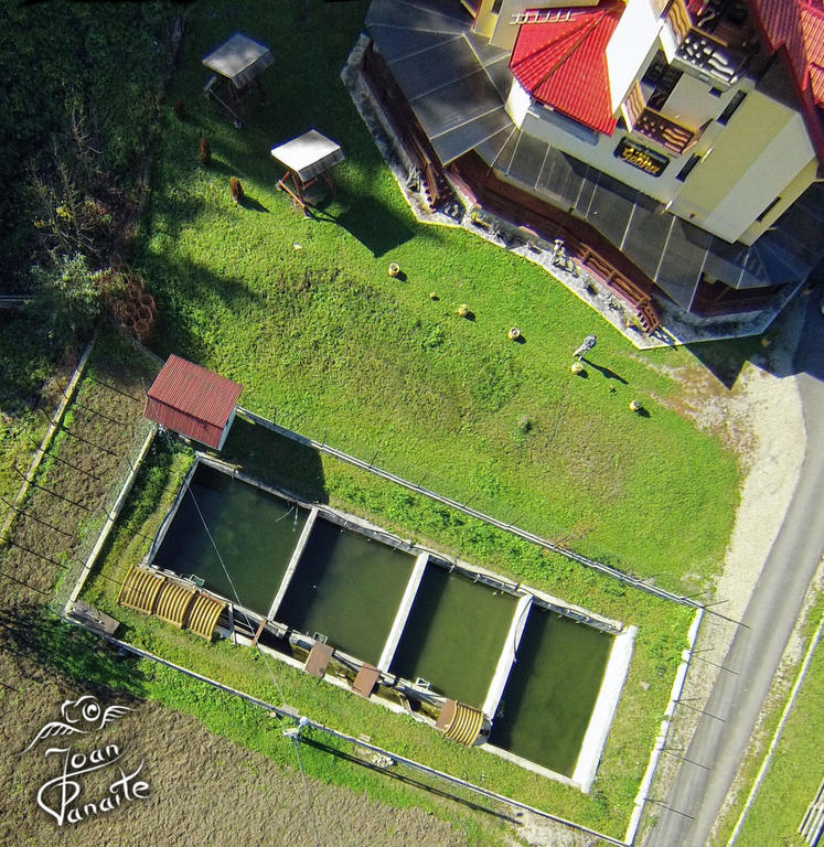 Pensiunea Geona Poiana Teiului Exterior foto