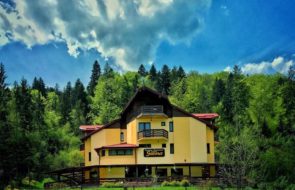Pensiunea Geona Poiana Teiului Exterior foto