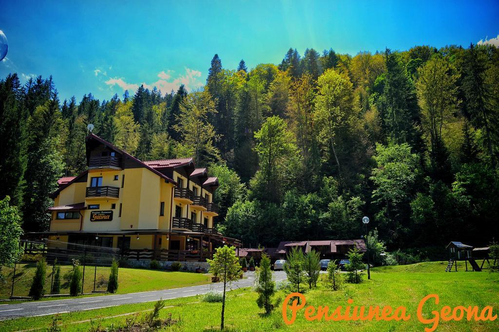 Pensiunea Geona Poiana Teiului Exterior foto